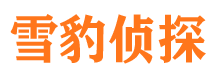 刚察市私家侦探